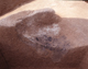 FileNo.169-046.jpg