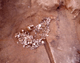 FileNo.169-049.jpg