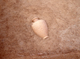 FileNo.169-053.jpg