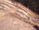 FileNo.169-056.jpg
