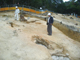 FileNo.169-062.jpg