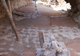 FileNo.169-065.jpg