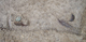 FileNo.169-069.jpg