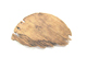 FileNo.169-071.jpg