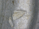 FileNo.169-073.jpg