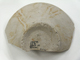 FileNo.169-074.jpg