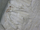 FileNo.169-075.jpg