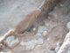 FileNo.169-081.jpg