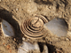 FileNo.169-083.jpg