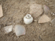 FileNo.169-084.jpg