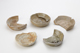 FileNo.169-116.jpg