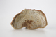 FileNo.169-125.jpg