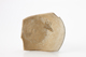 FileNo.169-132.jpg