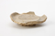 FileNo.169-141.jpg