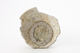 FileNo.169-154.jpg