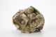 FileNo.169-158.jpg