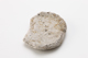FileNo.169-170.jpg