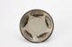 FileNo.169-181.jpg