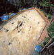 FileNo.169-199.jpg