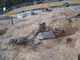 FileNo.169-203.jpg