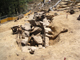 FileNo.169-205.jpg
