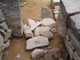 FileNo.169-217.jpg