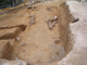 FileNo.169-225.jpg