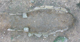 FileNo.169-245.jpg