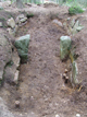 FileNo.169-248.jpg
