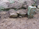 FileNo.169-255.jpg