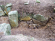FileNo.169-256.jpg