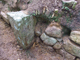 FileNo.169-257.jpg