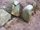 FileNo.169-258.jpg