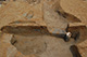 FileNo.171-035.jpg