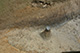 FileNo.171-038.jpg