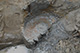 FileNo.171-042.jpg
