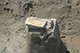 FileNo.171-442.jpg