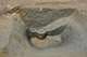 FileNo.171-448.jpg