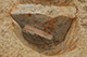 FileNo.171-462.jpg