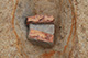 FileNo.171-467.jpg