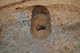 FileNo.171-468.jpg