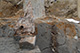 FileNo.171-471.jpg