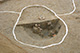 FileNo.171-480.jpg