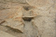FileNo.171-492.jpg