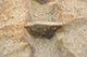 FileNo.171-494.jpg