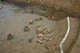 FileNo.171-499.jpg