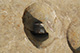 FileNo.171-507.jpg