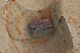 FileNo.171-508.jpg