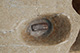 FileNo.171-510.jpg