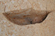 FileNo.171-513.jpg